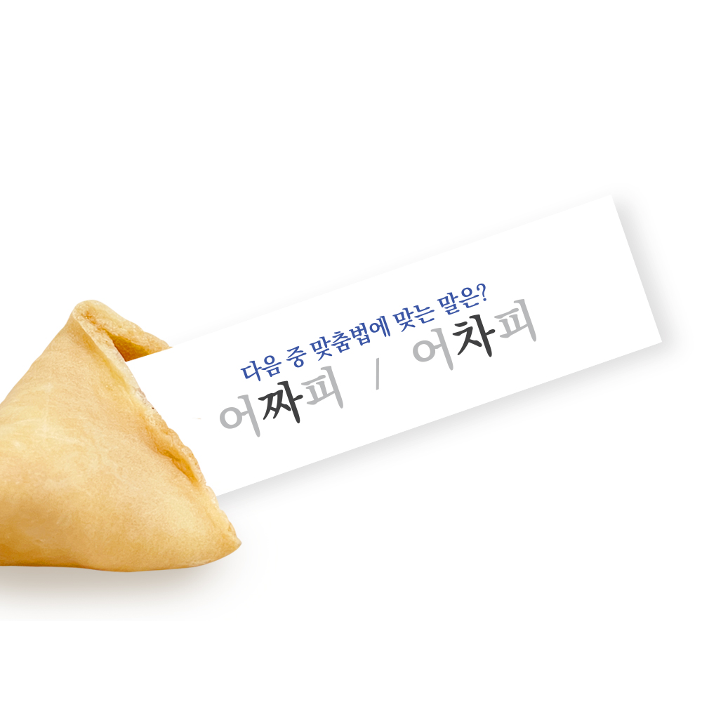 포춘쿠키 패밀리팩 맞춤법S