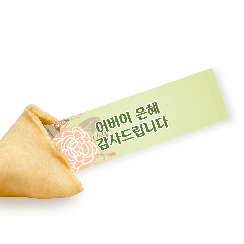 포춘쿠키 패밀리팩 어버이날