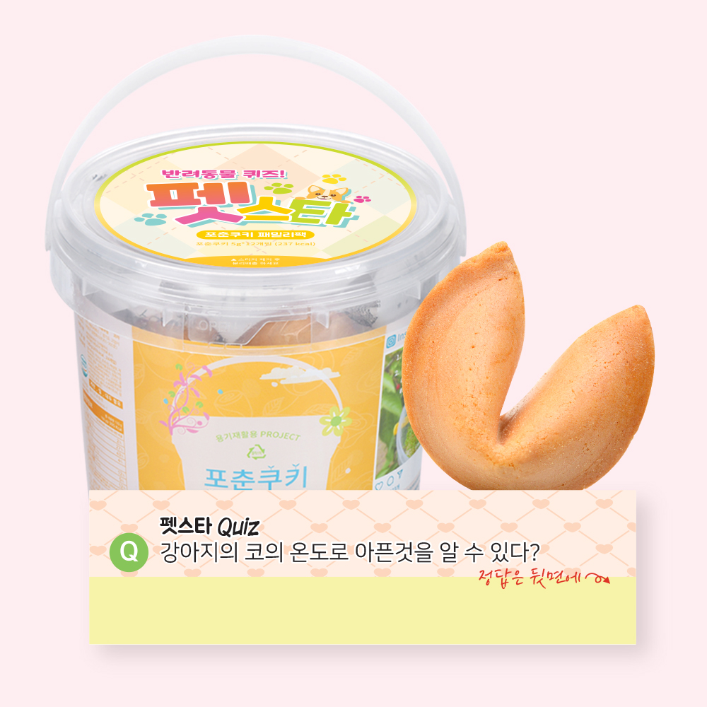 포춘쿠키 패밀리팩 펫스타