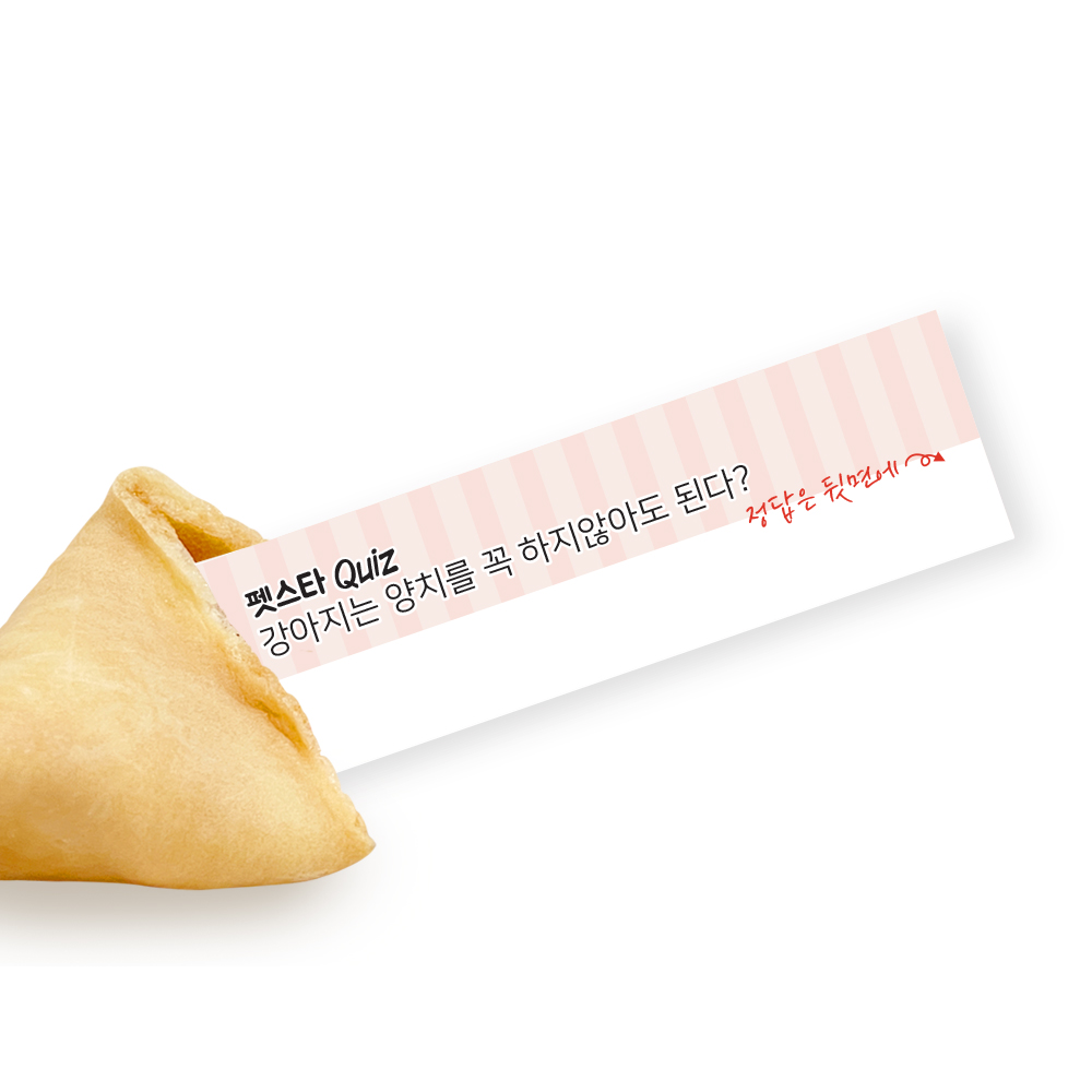 포춘쿠키 패밀리팩 펫스타