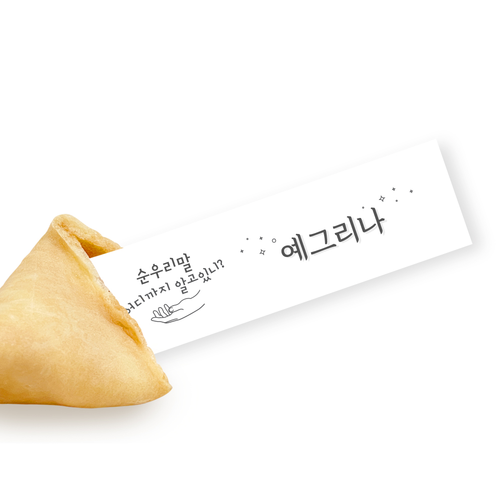 포춘쿠키 패밀리팩 순우리말S