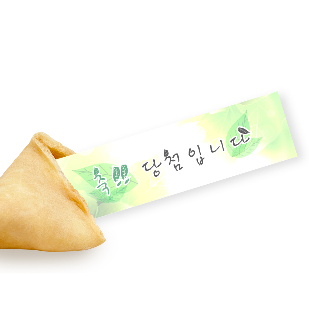 포춘쿠키 축당첨 10